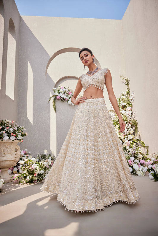 Lehenga And Blouse With Dupatta